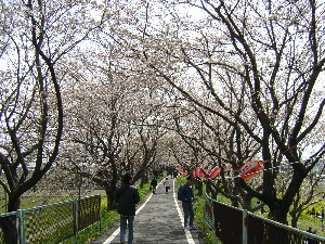 ������������