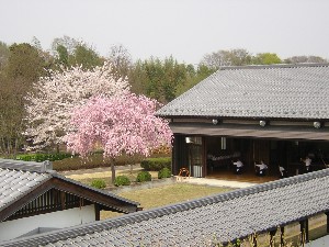 �������