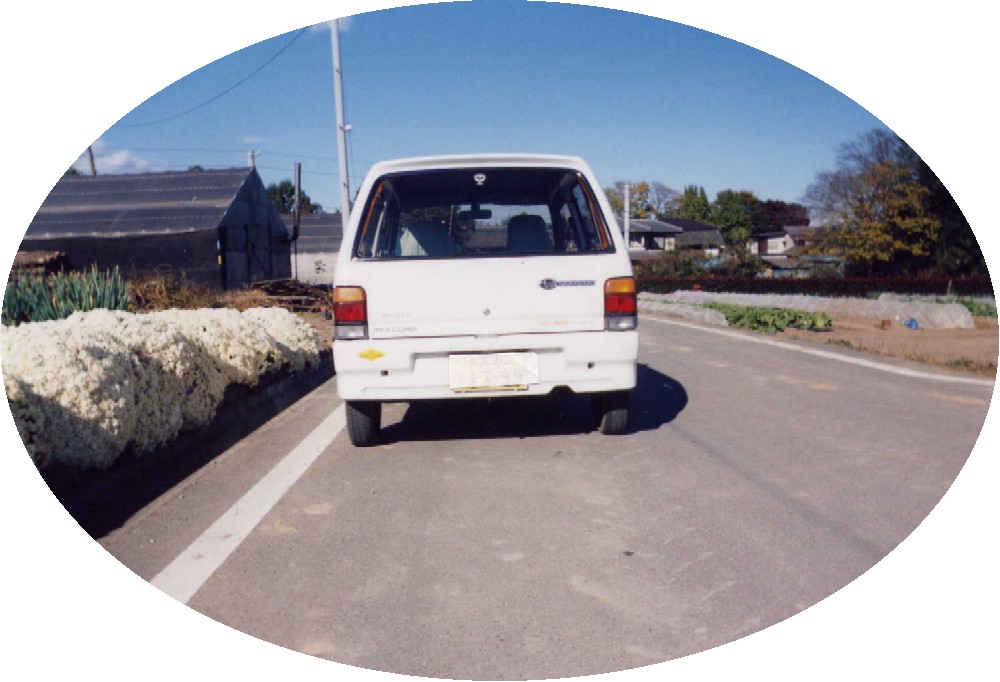 �Ȃɂ�����؂������`��