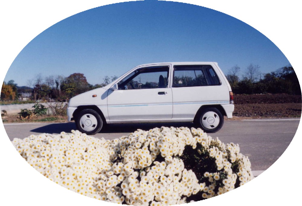 �i���𐶂����`��